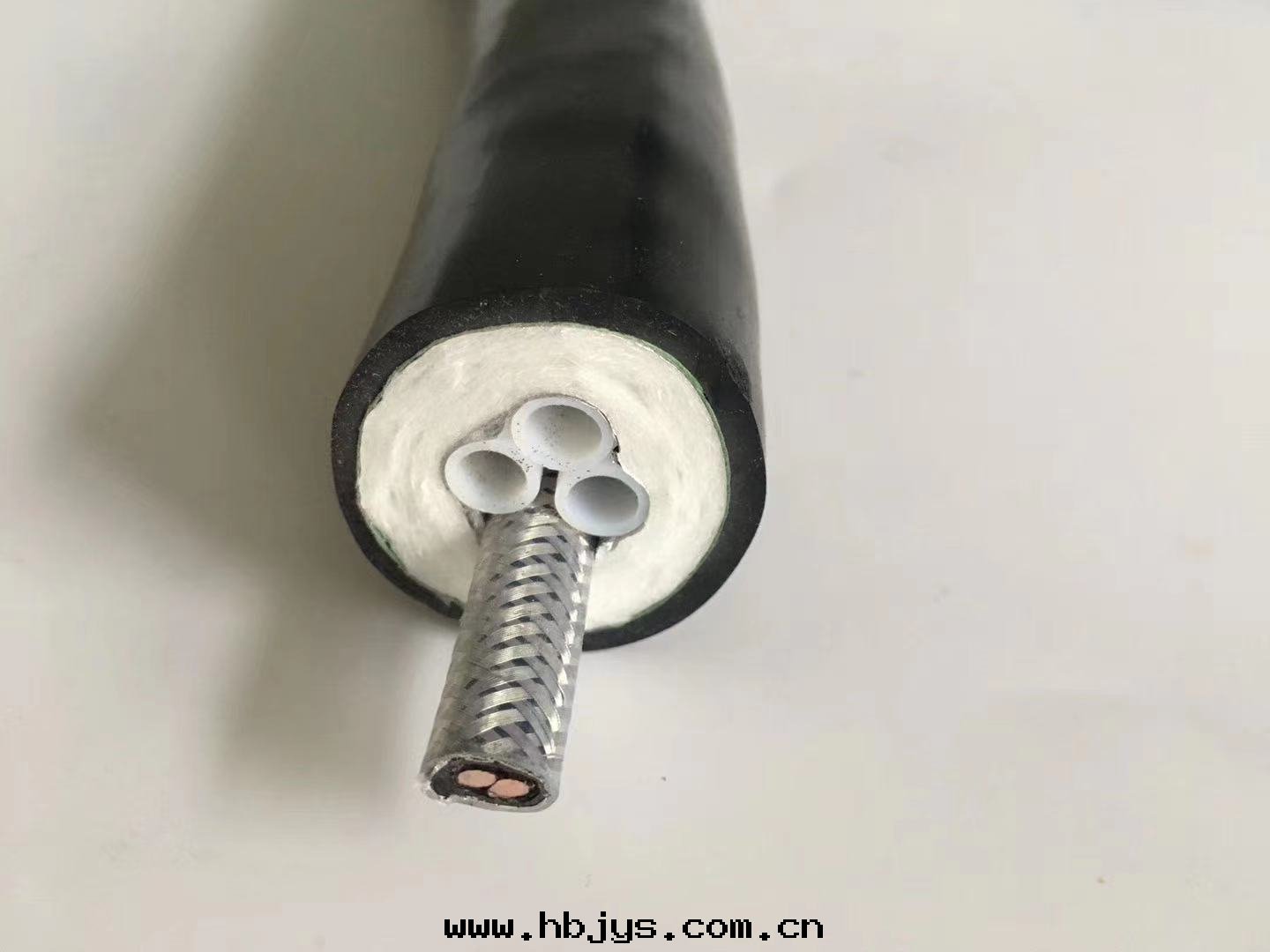 CEMS伴热(rè)管(guǎn)線(xiàn)